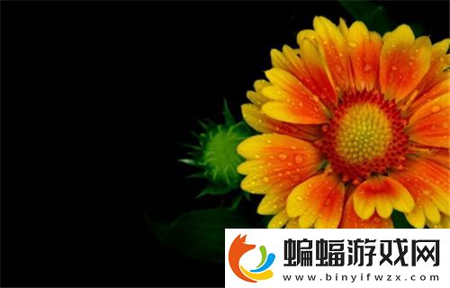 服軟sc1v2星光科技奇跡改變你我生活！