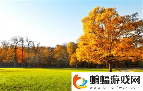 手不安分地探入森林什么意思深層含義令人震驚！