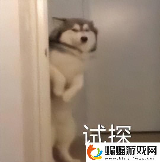 經典單機游戲排行大全