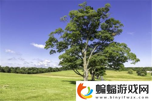 中文字幕亂碼人在線視頻1區(qū)