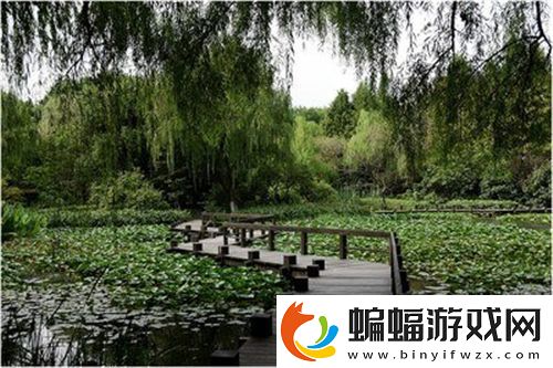 精華區與二區的主要區別88888