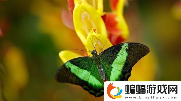 老**春天顧曉婷的更新時間