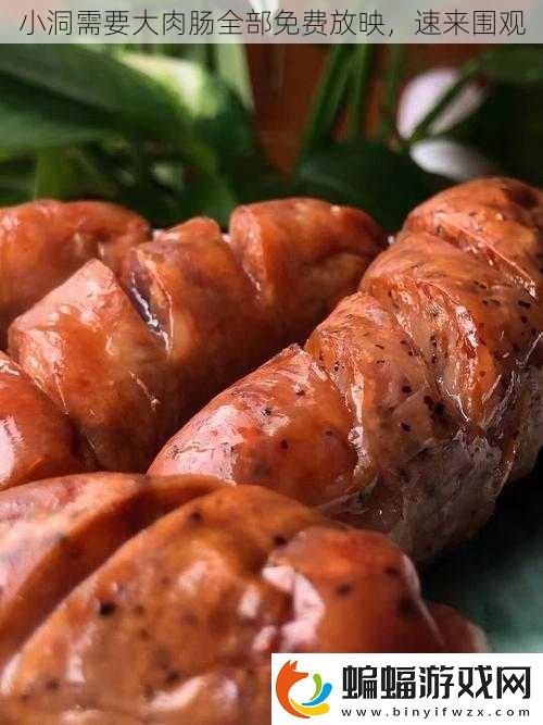 小洞需要大肉腸全部免費放映