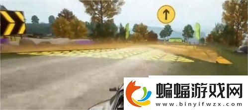 極品飛車集結繽紛花海圖怎么快速通關