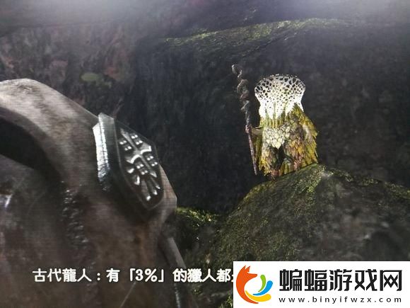 怪物獵人3g武器對比推薦