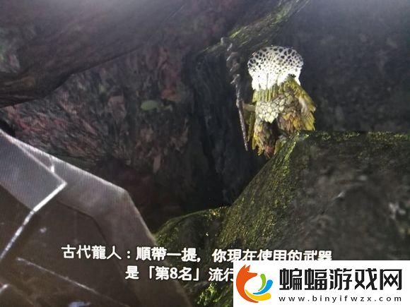 怪物獵人3g武器對比推薦