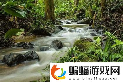 RF射頻和HDMI高清線的區別