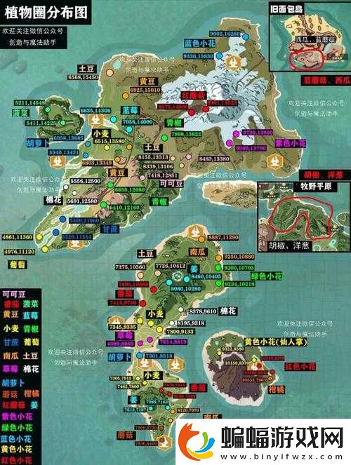 創造與魔法土豆哪里多