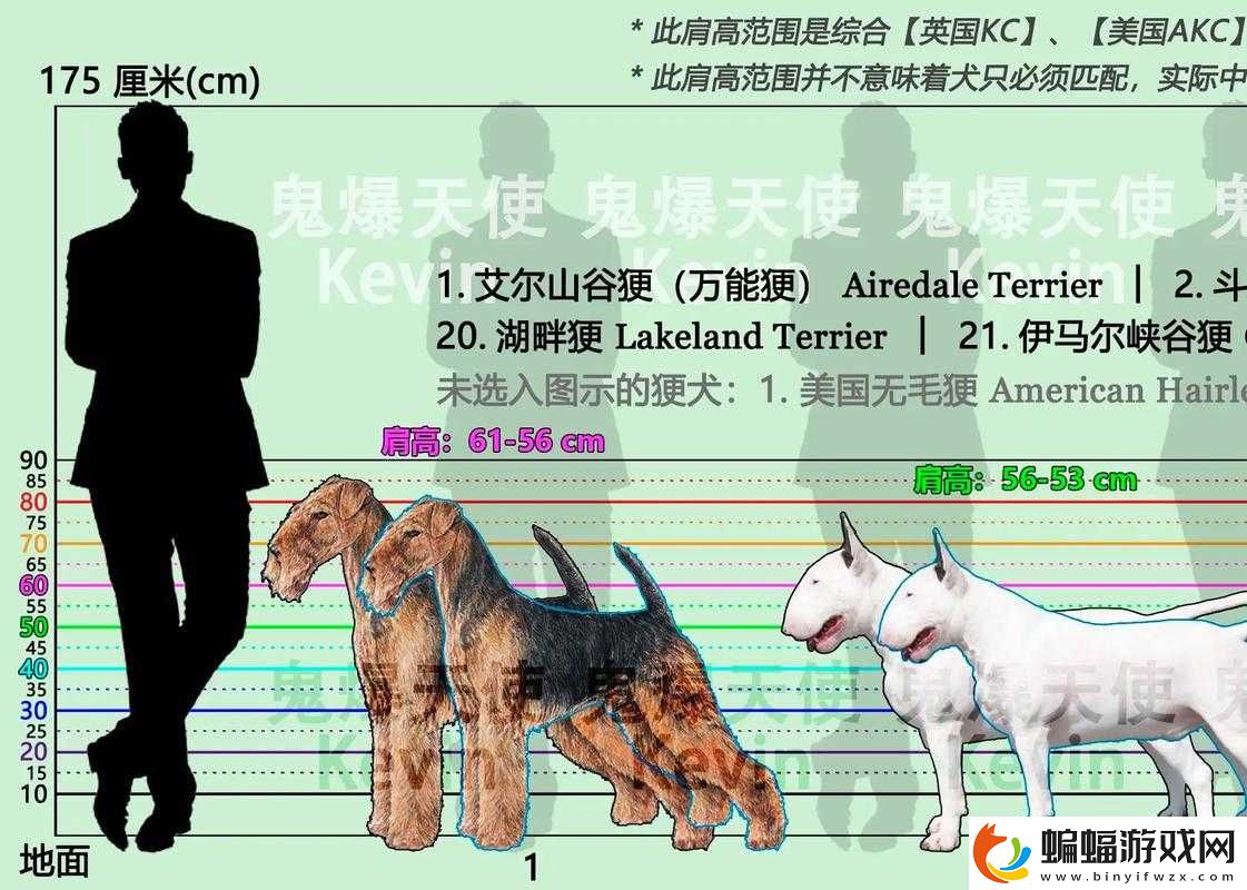 狗