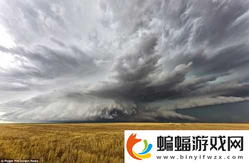 大開大合地動了起來