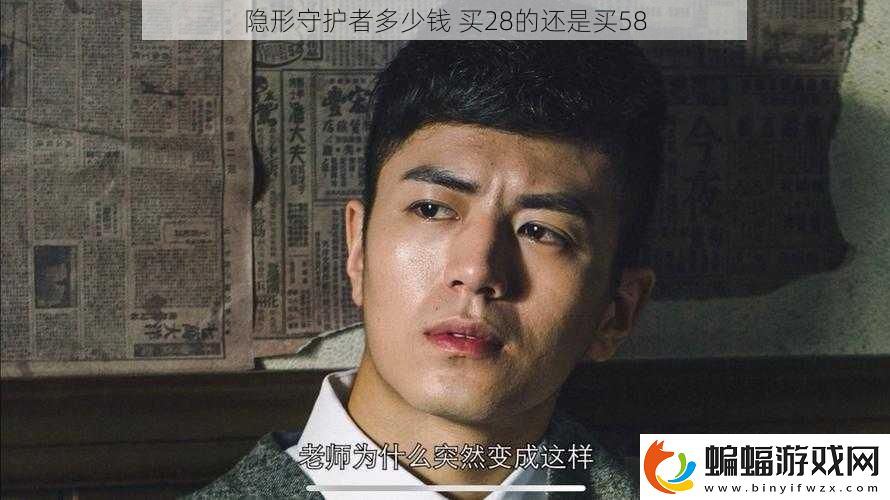 隱形守護者多少錢