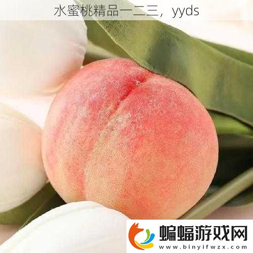 水蜜桃精品一二三