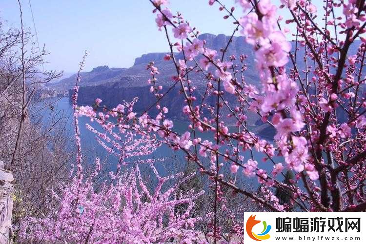 芳草萋萋桃花源口龍飛鳳舞