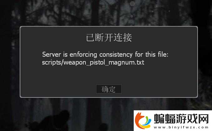 求生之路2跳出解決辦法都在這里