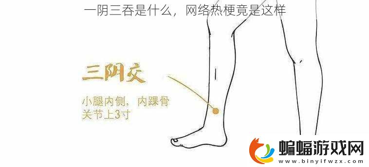 一陰三吞是什么