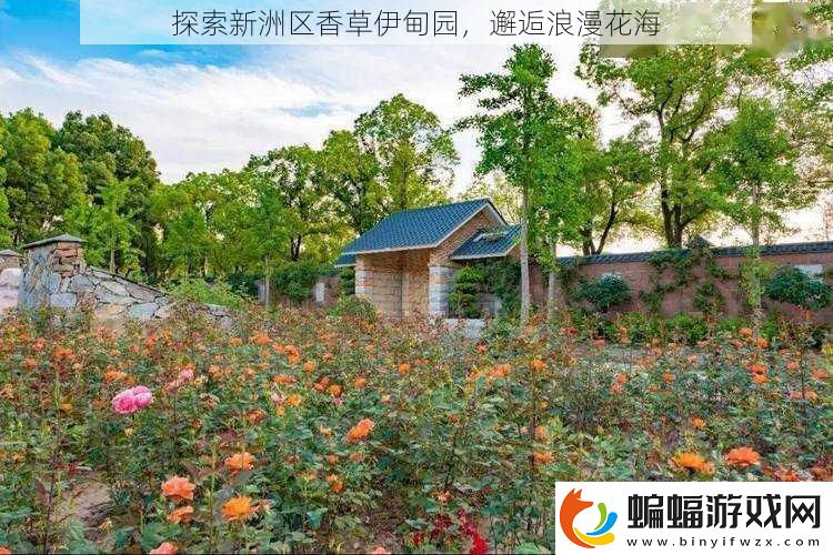 探索新洲區(qū)香草伊甸園