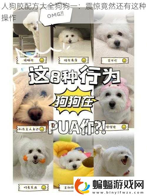 人狗膠配方大全狗狗一