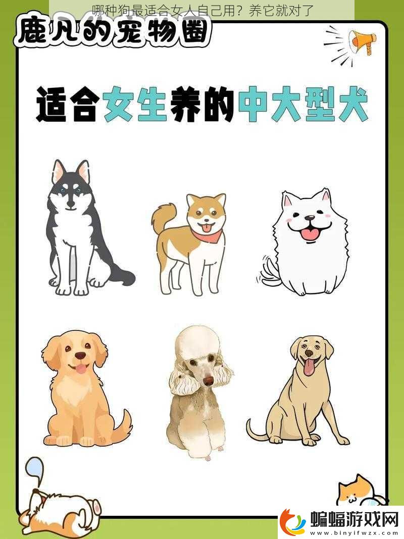 哪種狗最適合女人自己用