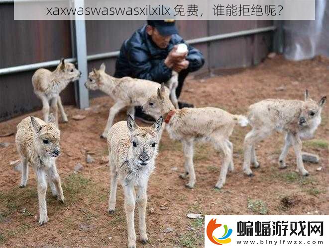 xaxwaswaswasxilxilx