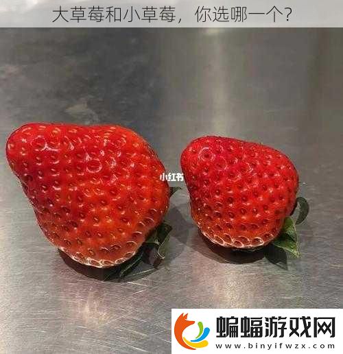 大草莓和小草莓