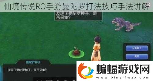 仙境傳說RO手游曼陀羅打法技巧手法講解